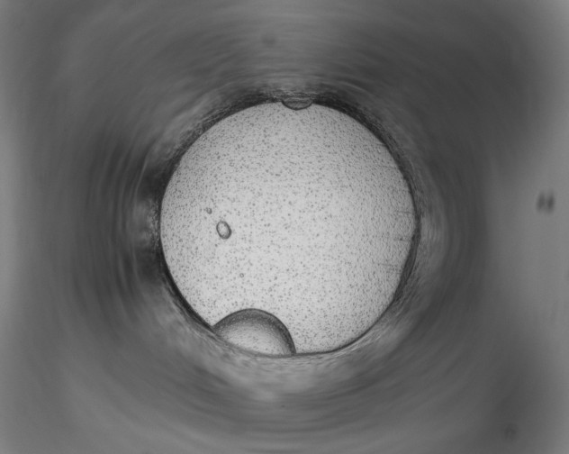 X0000116460048200912231410