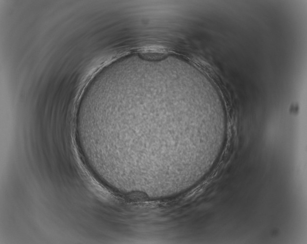 X0000116460049200912231409