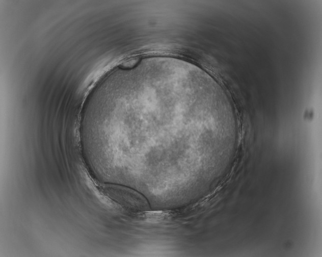 X0000116460050200912231409