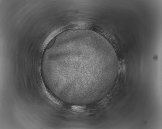 X0000116460051200912231409