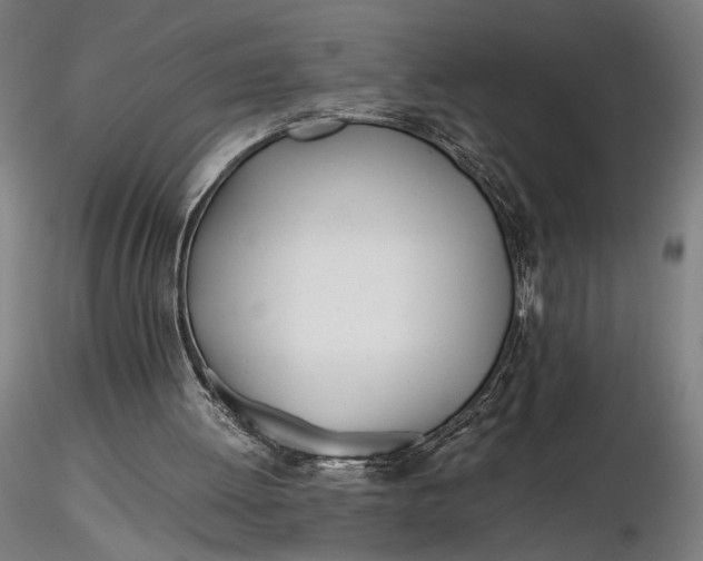 X0000116460052200912231409