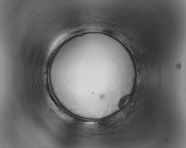 X0000116460053200912231409