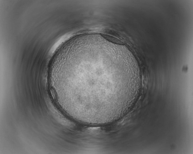 X0000116460054200912231409