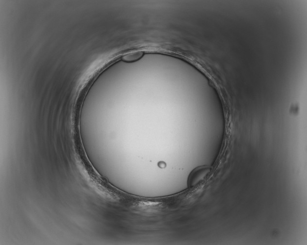 X0000116460055200912231409