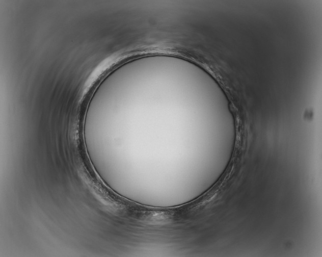 X0000116460056200912231409