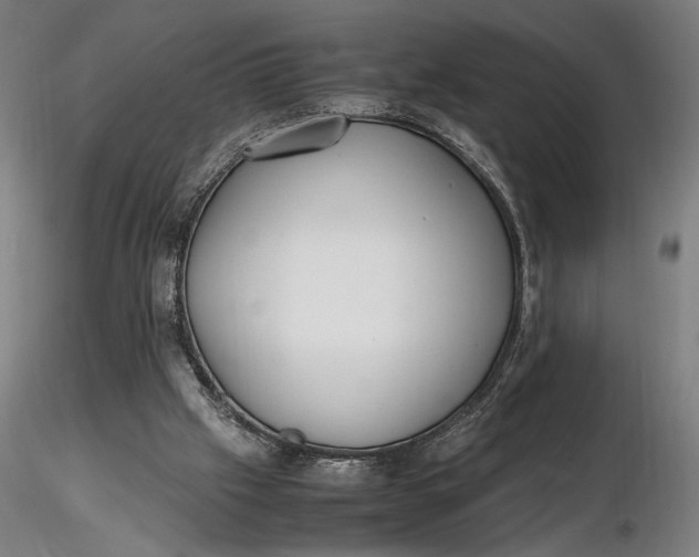 X0000116460057200912231409