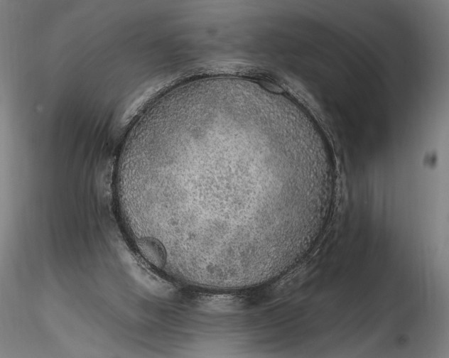 X0000116460058200912231409