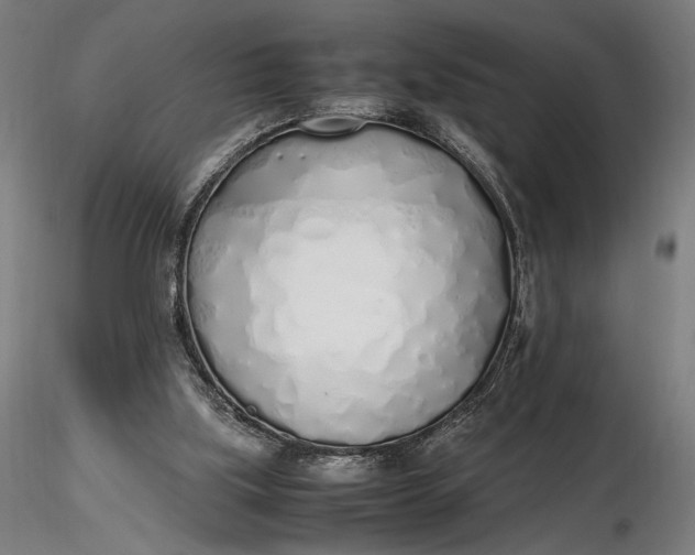 X0000116460059200912231409