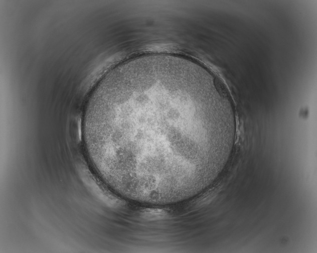 X0000116460061200912231409