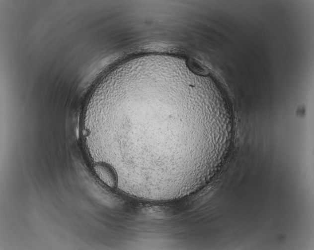 X0000116460062200912231409