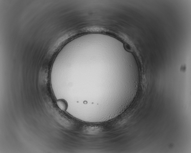 X0000116460063200912231409