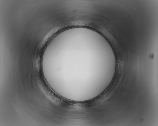 X0000116460064200912231409