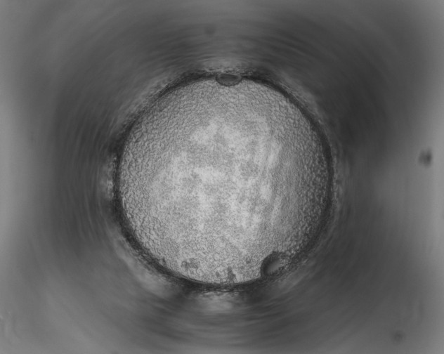 X0000116460065200912231409