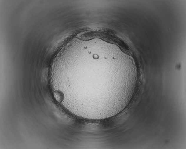 X0000116460066200912231409