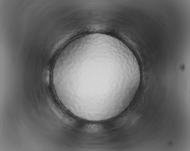 X0000116460067200912231409