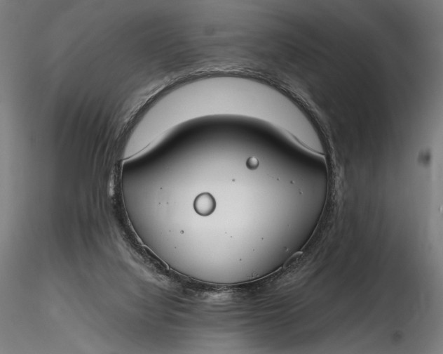 X0000116460068200912231409