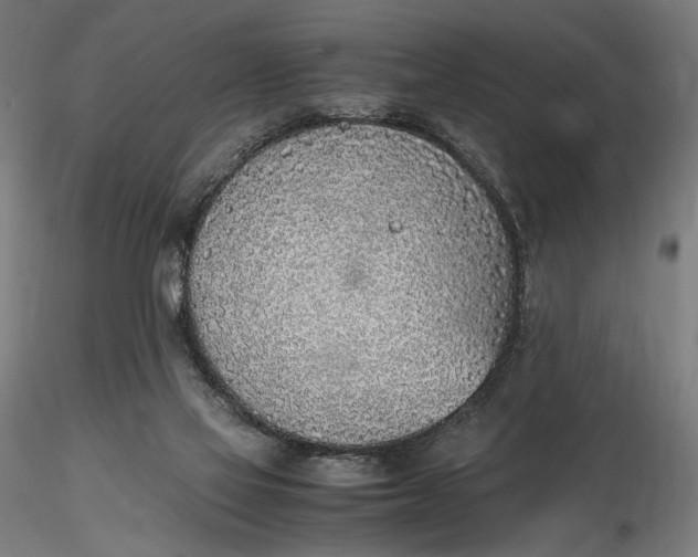 X0000116460069200912231409