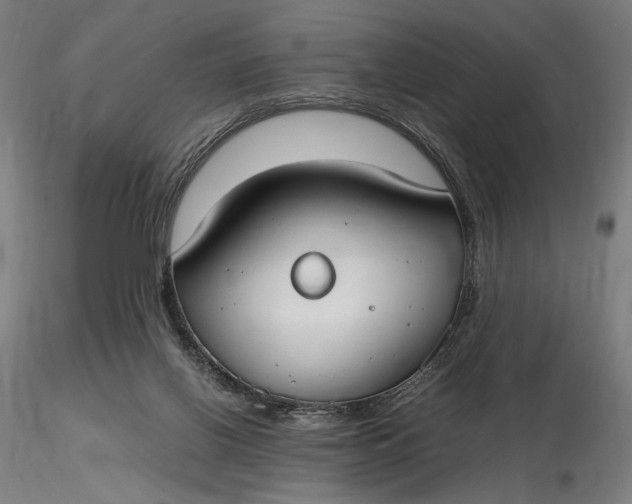 X0000116460070200912231409