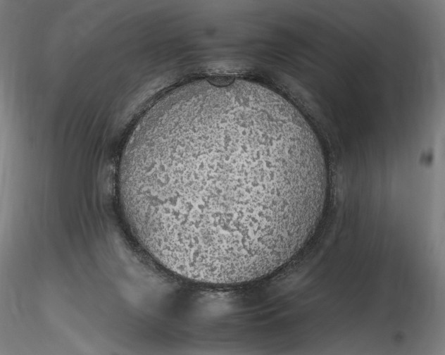 X0000116460071200912231409