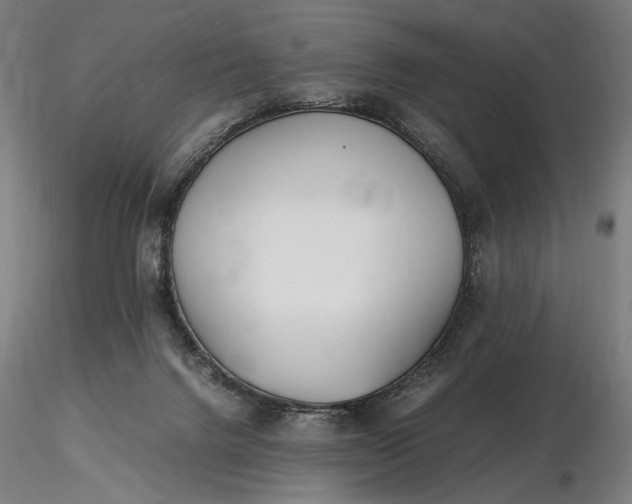 X0000116460072200912231409