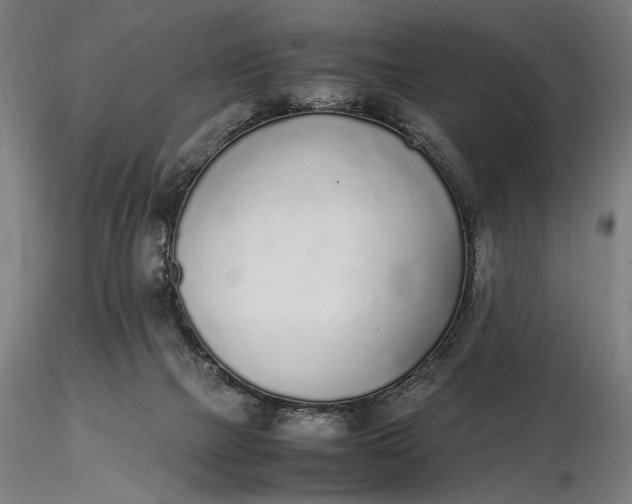 X0000116460073200912231410