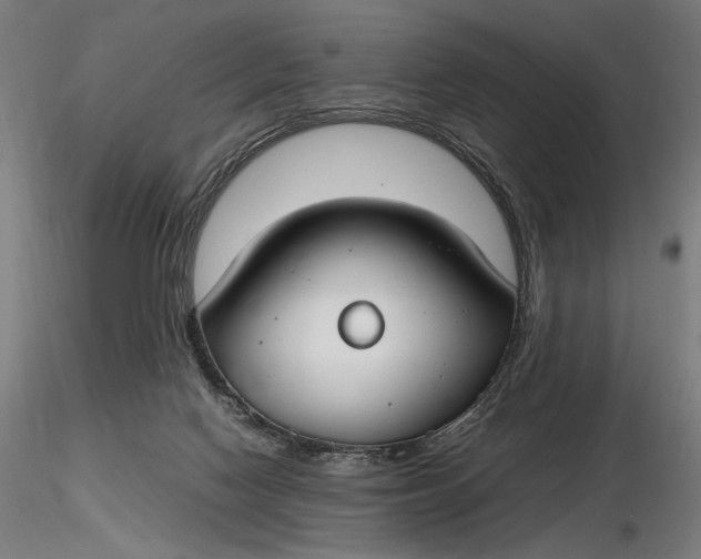 X0000116460074200912231410