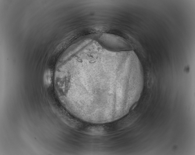 X0000116460075200912231410