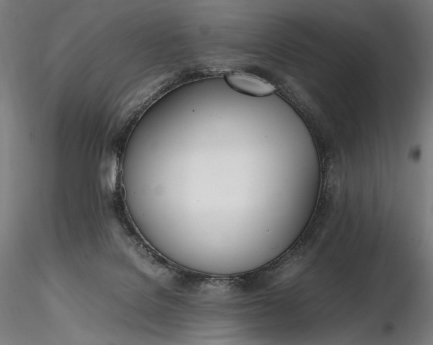 X0000116460076200912231410