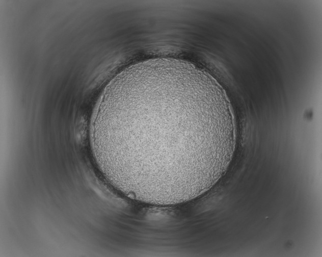 X0000116460077200912231410