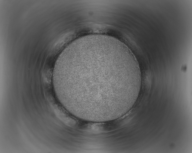 X0000116460078200912231410