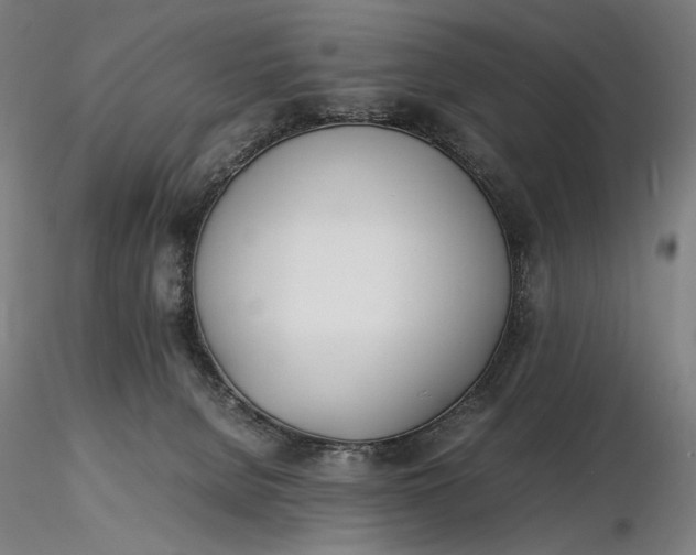 X0000116460080200912231410