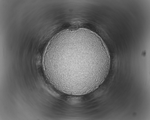 X0000116460081200912231410