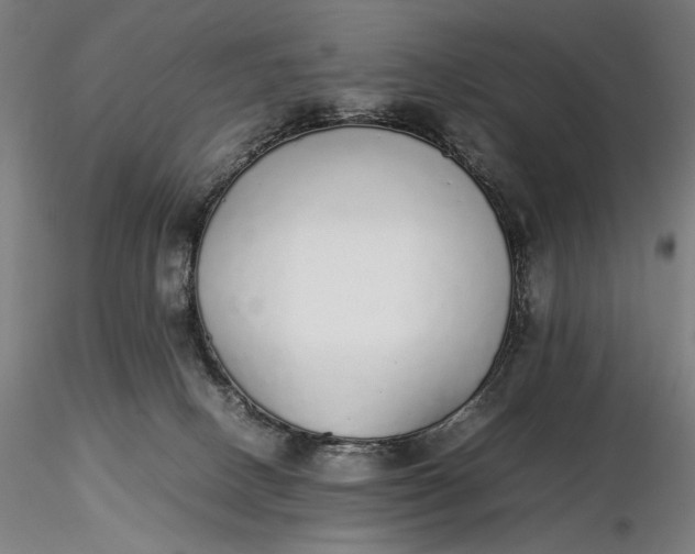 X0000116460082200912231410