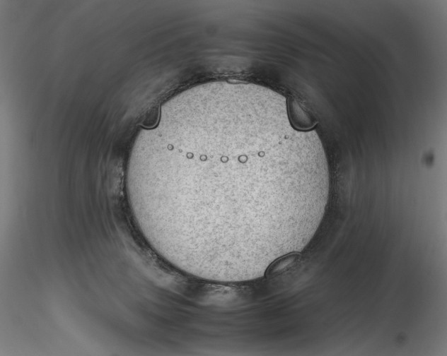 X0000116460083200912231410