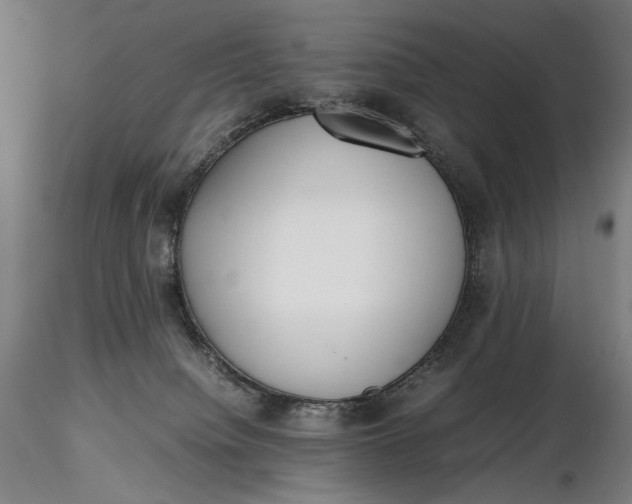 X0000116460084200912231410