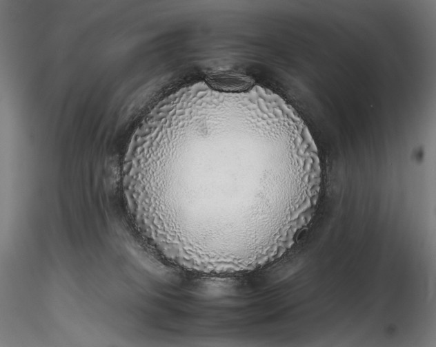 X0000116460085200912231410