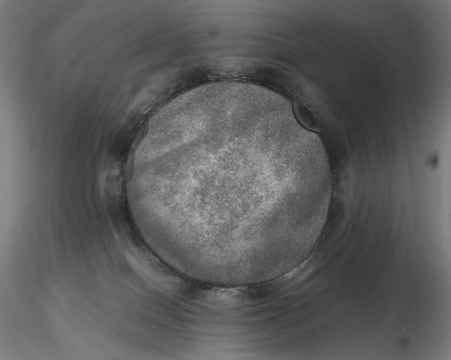 X0000116460086200912231410