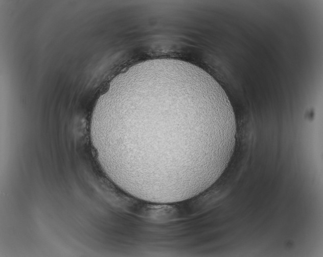 X0000116460087200912231410