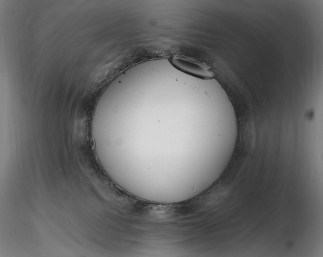 X0000116460088200912231410