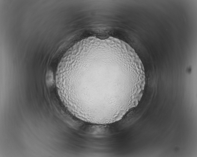 X0000116460089200912231410