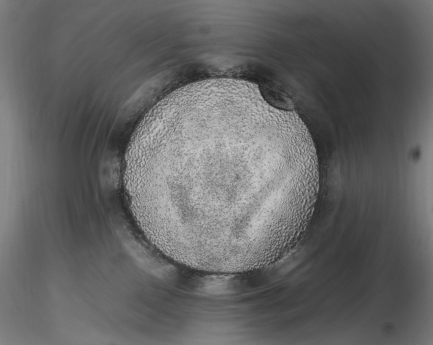 X0000116460090200912231410