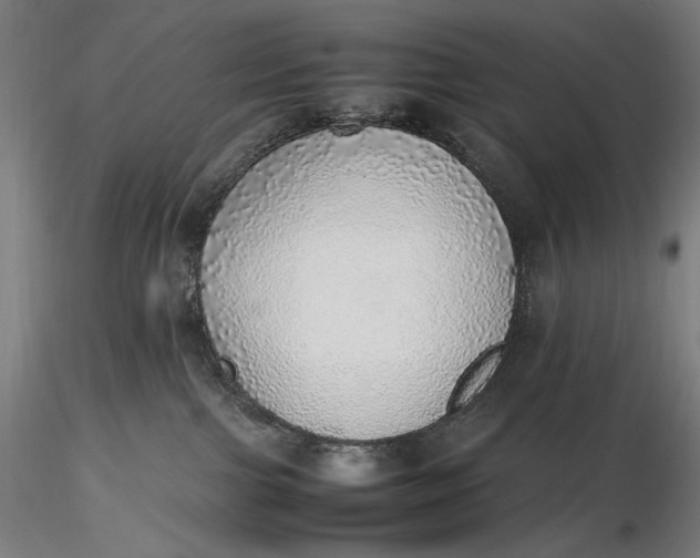 X0000116460091200912231410