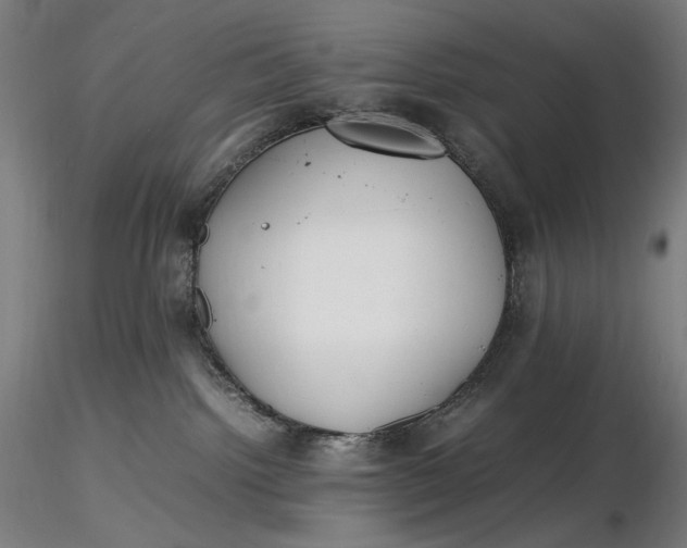 X0000116460092200912231410