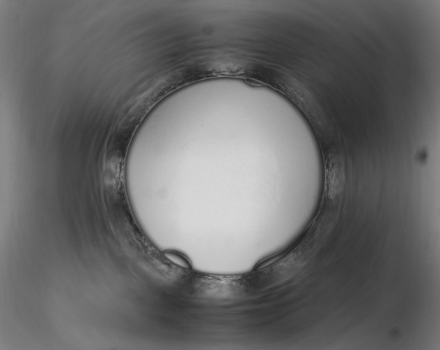 X0000116460093200912231410