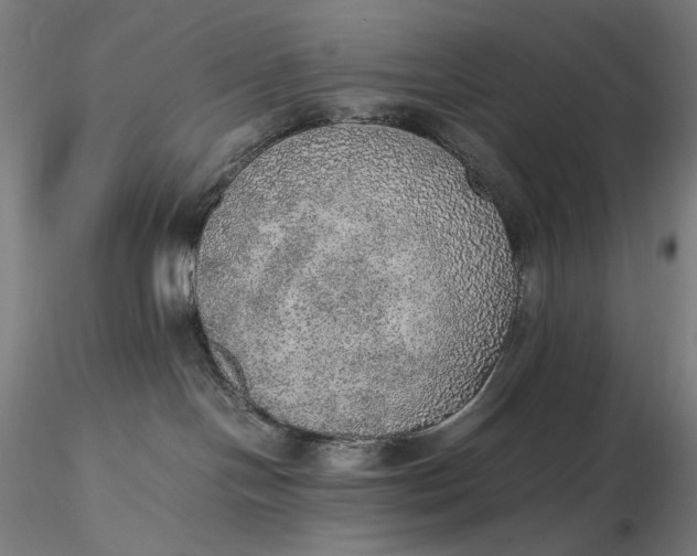 X0000116460094200912231410