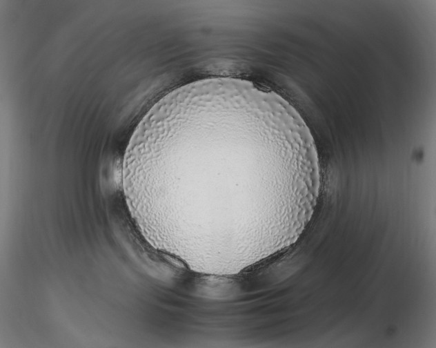 X0000116460095200912231410