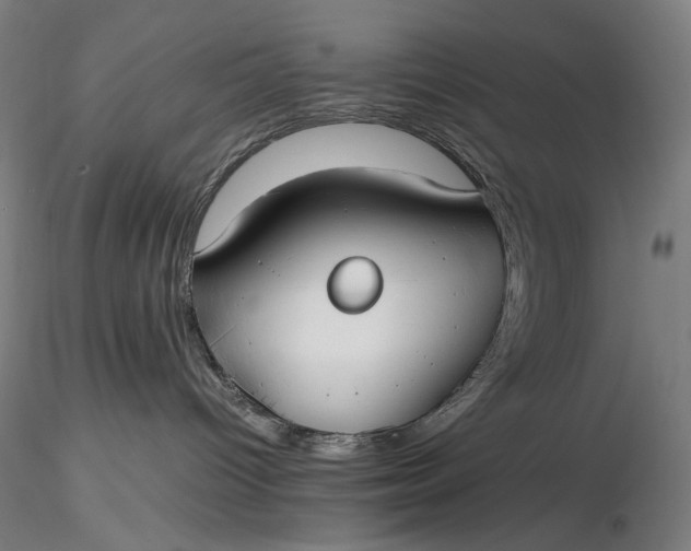 X0000116460096200912231410