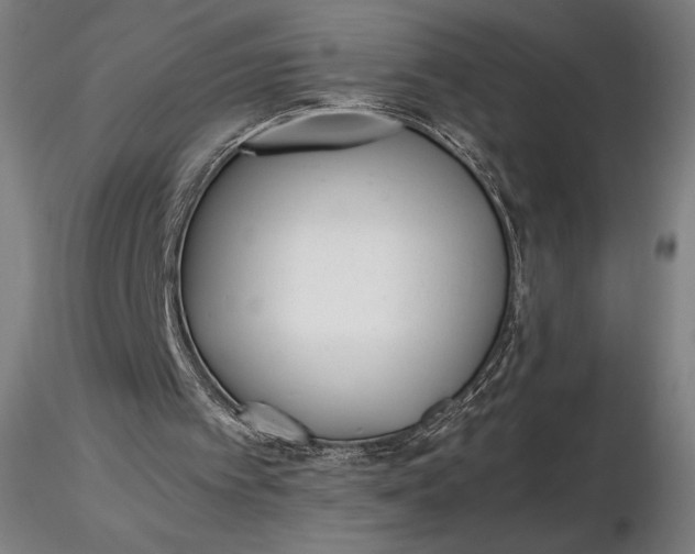 X0000116460097200912231409