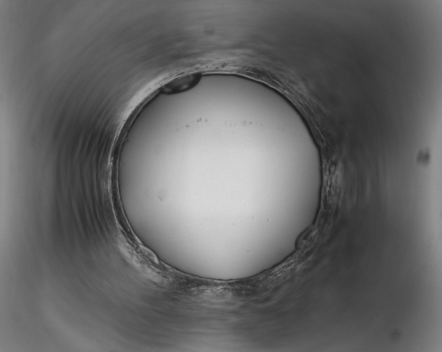 X0000116460100200912231409