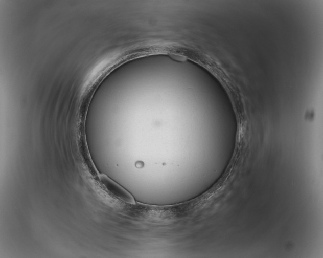 X0000116460101200912231409